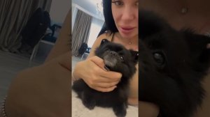 Кристина Сафронова (@ safronovakristinaofficial~1634707670~18106783087269570~1