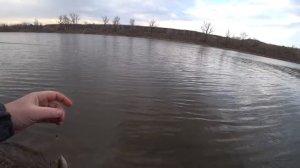 Только опустил поплавок и сразу поклёвка. Рыбалка перед нерестом 2021