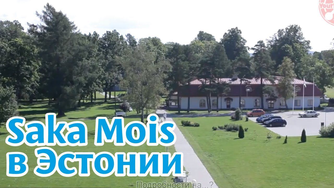 Спа-отель Saka Mois в Эстонии