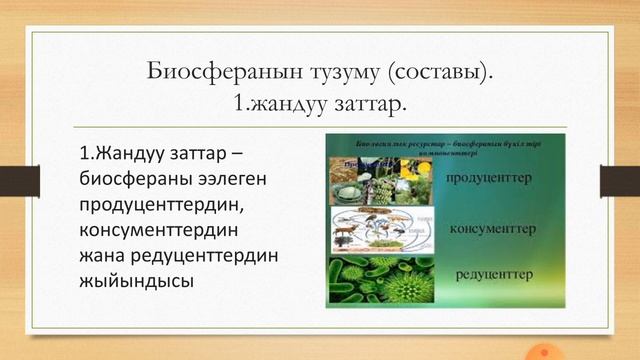 Биосфера жана Ноосфера.