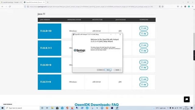 install  OpenJDK 8 or OpenJDK 11 on windows 10