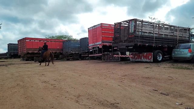 FEIRA DE CAVALO DE CACHOEIRINHA PE, QUINTA FEIRA, 22.02.24 #nordeste смотреть онлайн