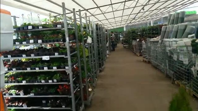 В Москве цветет сакура.Рай для дачников.Купила... смотреть онлайн