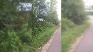 Мамин влог/Г.Кувшиново(Тверская обл.)