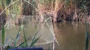 Рыбалка на Паук. Ловля на Подьемник в мини речке