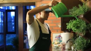 Фитомодуль 60х60 см. Пряные травы. Модульная система BOXSAND.