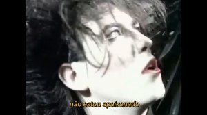 crystal castles, robert smith - not in love (legendado)