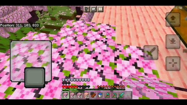 How Im deadliest player in this smp