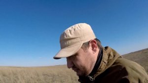 #17 Ходовая Охота Осенью. Охота на Куропаток. Курцхаар