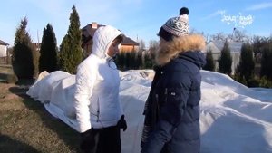 Укрытие Роз на зиму. Наталья Петренко в Питомнике Елены Иващенко