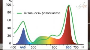 Фитосветильник для растений ЛучОк