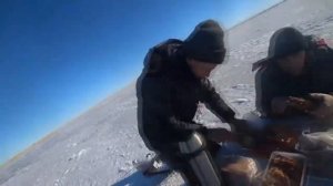 Походный стол на рыбалке