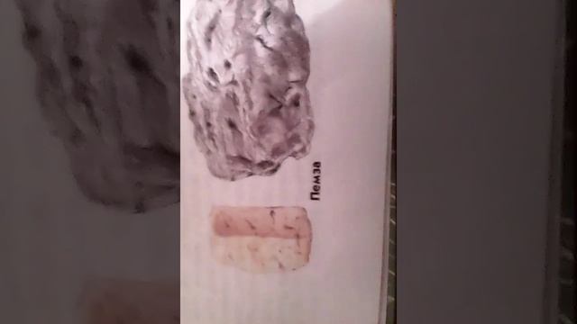 Атлас определитель От земли до неба часть 1 смотреть онлайн