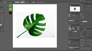 КАК СОЗДАТЬ РИСУНОК (ДИЗАЙН) ОДНОЙ ЛИНИЕЙ_ ЛИЦО, РОЗА, ТРОПИЧЕСКИЙ ЛИСТ. Урок в ADOBE ILLUSTRATOR.