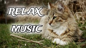Music for relaxation/meditation/sleep. Музыка для релакса/медитации/сна.