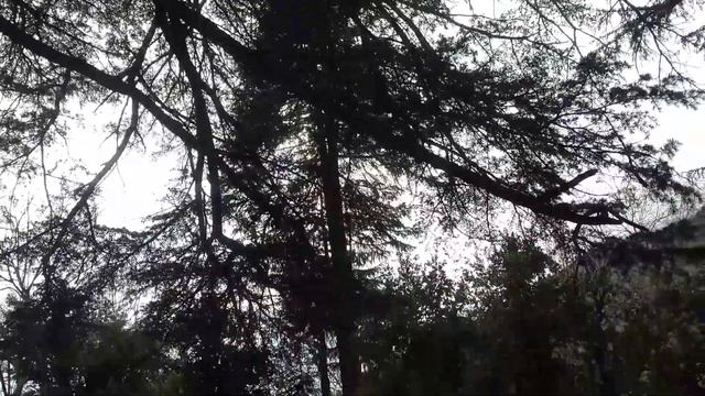 karakal valley смотреть онлайн