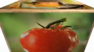 Музыка из рекламы Фруктовый сад - Хор (Россия) (2009)