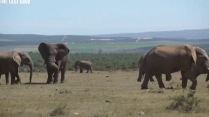 Разоблачение канала The Last Dino