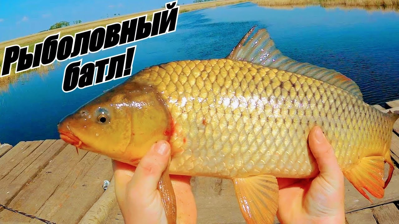 Рыбалка на паук!Рыболовный батл!Паук снова не подвел!Рыбалка на сазана! Рыбалка 2021! смотреть онлайн