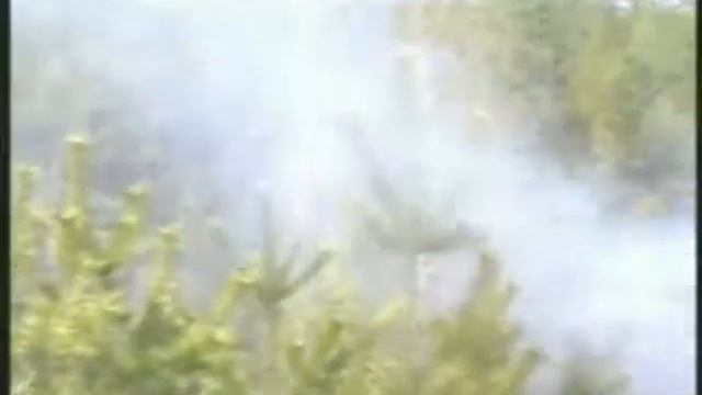 Обработка леса Испытание передвижной установки высокого давления смотреть онлайн