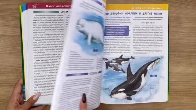 Большая детская энциклопедия животных