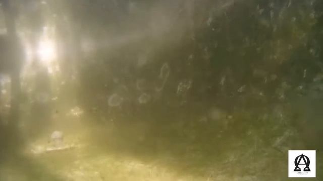 Кот рыбачит в ванной.. \Упссс мое вмешательство\часть 1