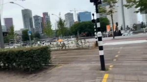 Путешествие по Нидерландам: Гаага, Роттердам, Делфт. Предложение на колесе обозрения