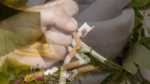 как бросить курить книга аллен карр читать бесплатно онлайн