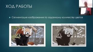 Программа для создания схем картин по номерам на основе сегментации изображений