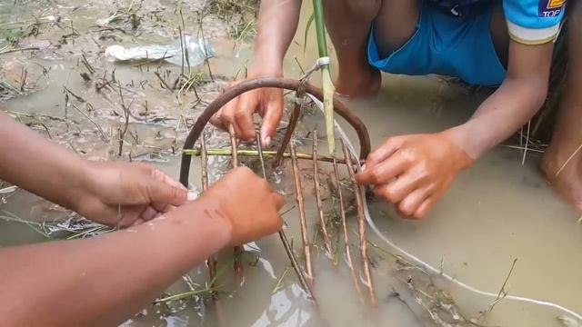 Удивительная быстрая ловушка для утки - как сделать большую ловушку для утки 100% смотреть онлайн