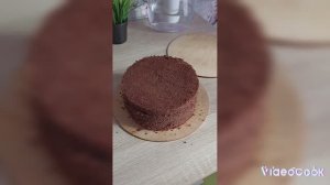 Шоколадный бисквит