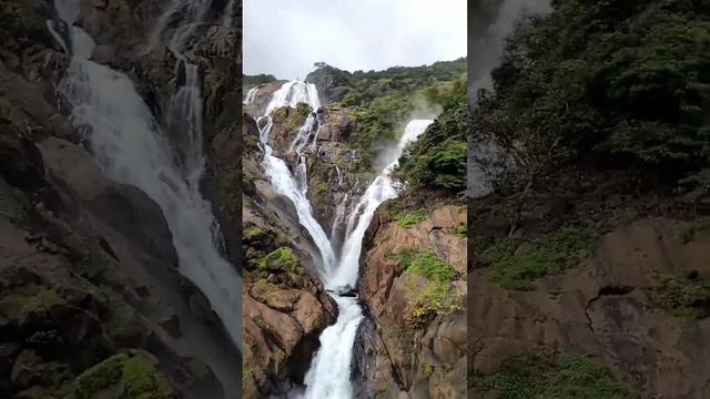 Dudhsagar fall #dudhsagarwaterfall, #dudhsagarwaterfalls, #goatourism  #goa  #goadiaries, #waterfal