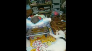 Кот укачивает маленького ребенка.