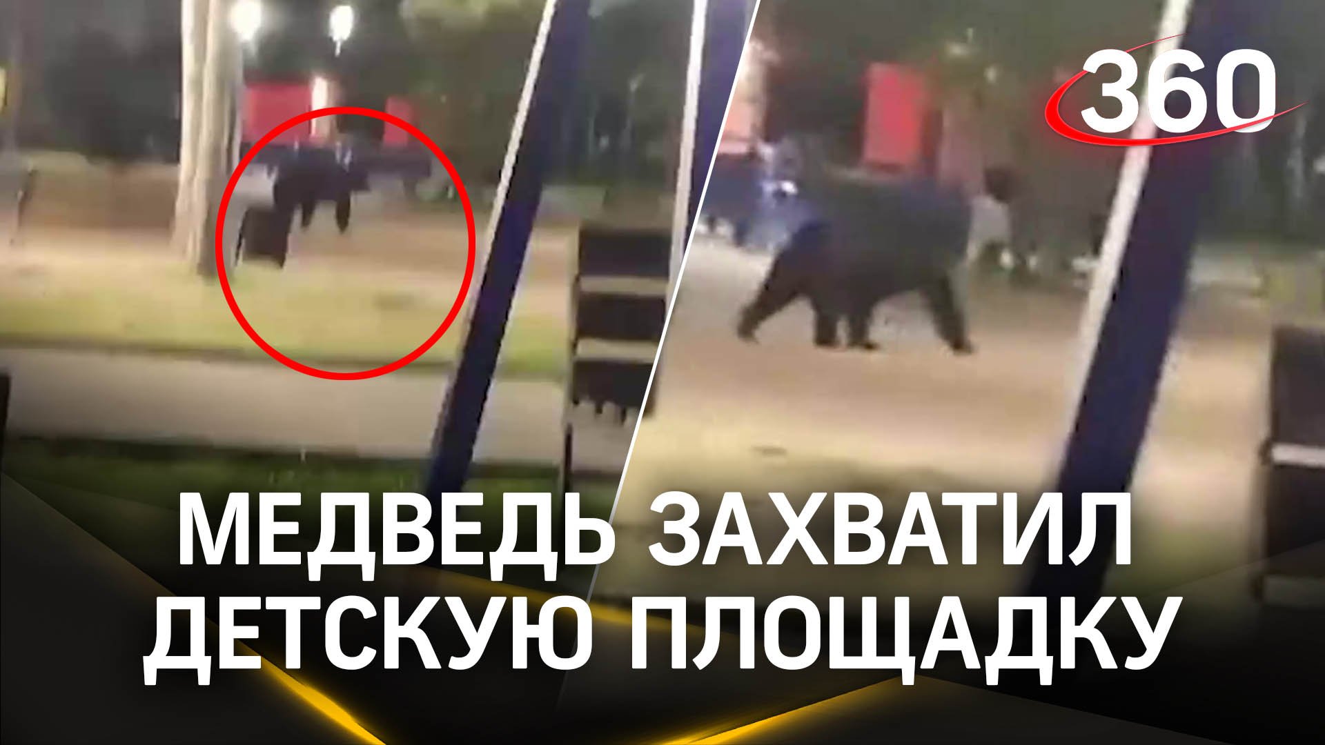 Медведь захватил детскую площадку в Приморье - теперь это его качели