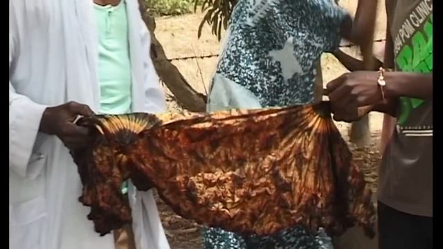 A Dyeing Art.Traditional Tie Dye and Batik in The Gambia. Part1 Dyeing with Indigo and Kola Nuts