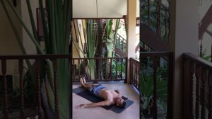 Друта Халасана   динамика