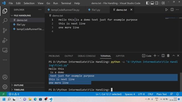 V39 - Reading from a file in Python
