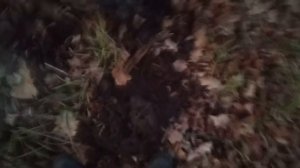 Копаем с Minelab E-Trac