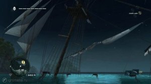 Assassin's Creed 4: Black Flag - The Best Bug Ever!