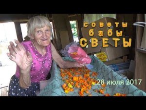 Страна ОС 13. Советы бабы Светы.