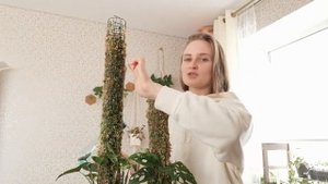 Полив тотема.