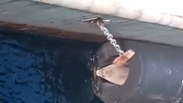 Порт Пирей Греция, лето 2021г смотреть онлайн