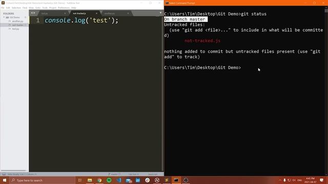 Git And GitHub in ~30 Minutes