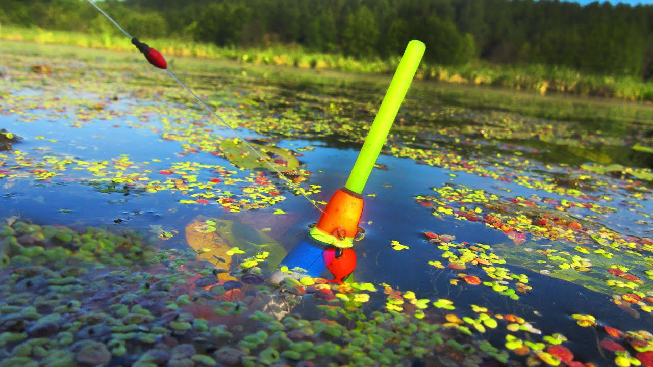 В ЗАБЫТОМ БОГОМ ПРУДУ РЫБАЧИМ НА УДОЧКУ С БРАТОМ смотреть онлайн