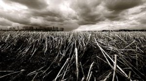 Для тех кто любит поэзию С. Есенина (Черный человек)