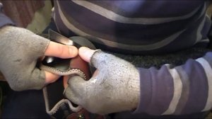 ремонт обуви Rieker обувь из заменителя ремонт задников