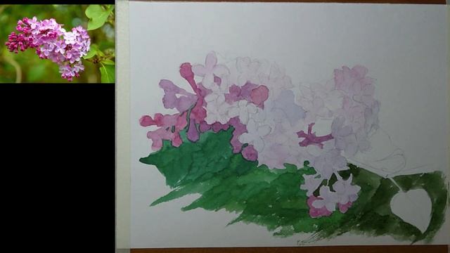 Ветка сирени "по сухому" смотреть онлайн