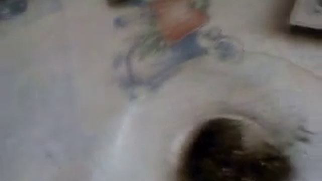 Летающий пакетик чая. смотреть онлайн