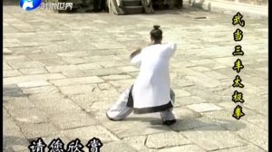 Мастер Ван Липин (王理平) демонстрирует Удан Саньфэн тайцзи цюань (武当三丰太极拳)