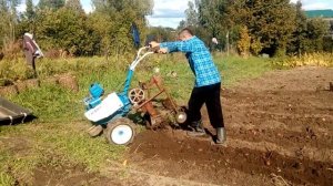Мотоблок Нева  самодельная Картофеле копалка